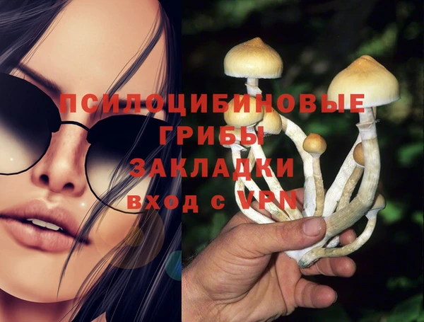 дурь Нягань